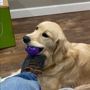 Meet your Posher, Tyler